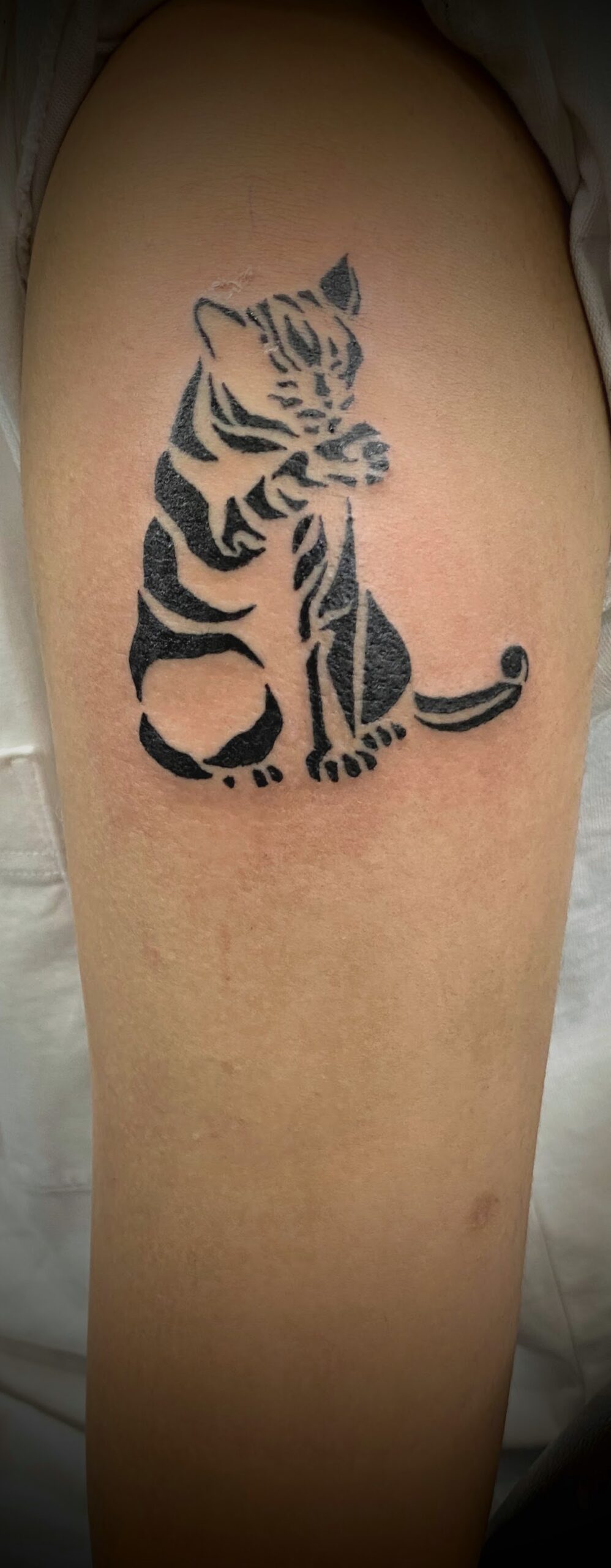 Tattoo Photos #0262