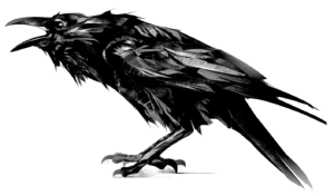 『弐烏 2CROW TATTOO STUDIO』の相互リンクページに使っているフッター画像