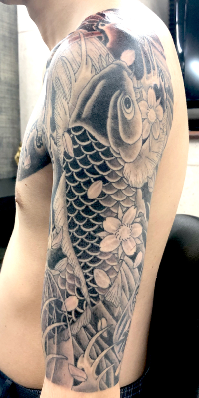 和彫り腕に「鯉と桜」の刺青