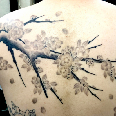 和彫り背中に「桜の木」の刺青