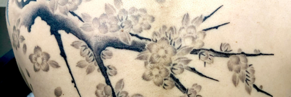 和彫り背中に「桜の木」の刺青