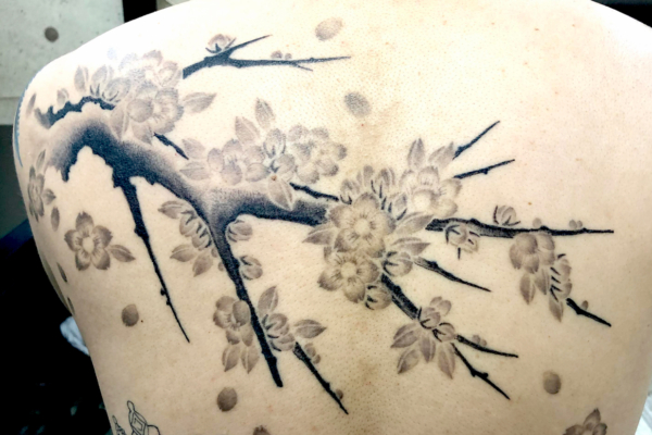 和彫り背中に「桜の木」の刺青