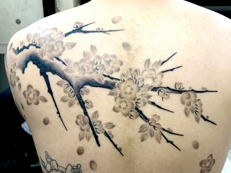 和彫り背中に「桜の木」の刺青