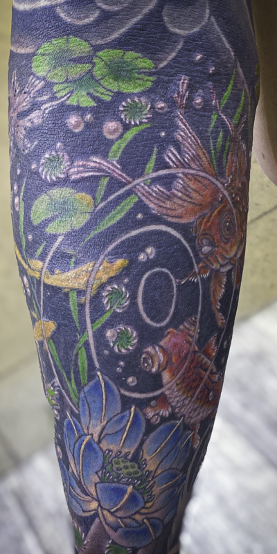 和彫り腕に「金魚とメダカと蓮と水草」の刺青