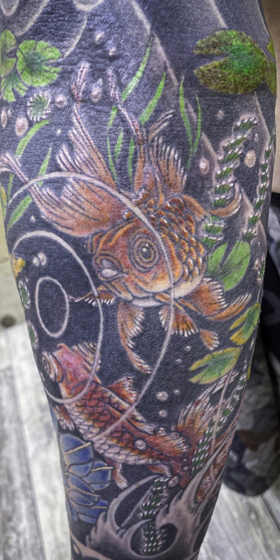 和彫り腕に「金魚と水草」の刺青
