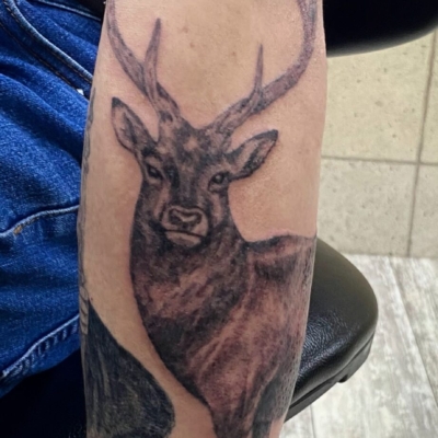 B&G 腕に「シカ」のタトゥー