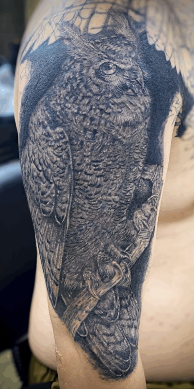 B&G 腕に「フクロウ」のタトゥー