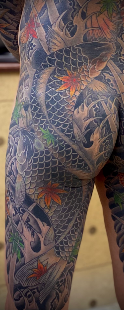 和彫り尻から腿裏に「鯉」の刺青