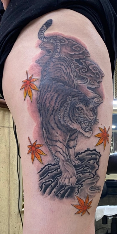 和彫り腕に「虎と紅葉」の刺青